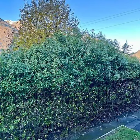 Sg Appart 6 Pers Piscine Balcon 1er Et 아파트 *